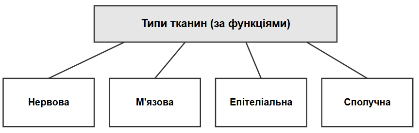 Як класифікують тканини